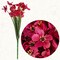 20 Bundles Artificial Flowers Outdoor UV Resistant, No‑Fade Fake Rose Red Plants for Patio, Porch, Window Box, Garden, Home & Wedding Farmhouse Decor